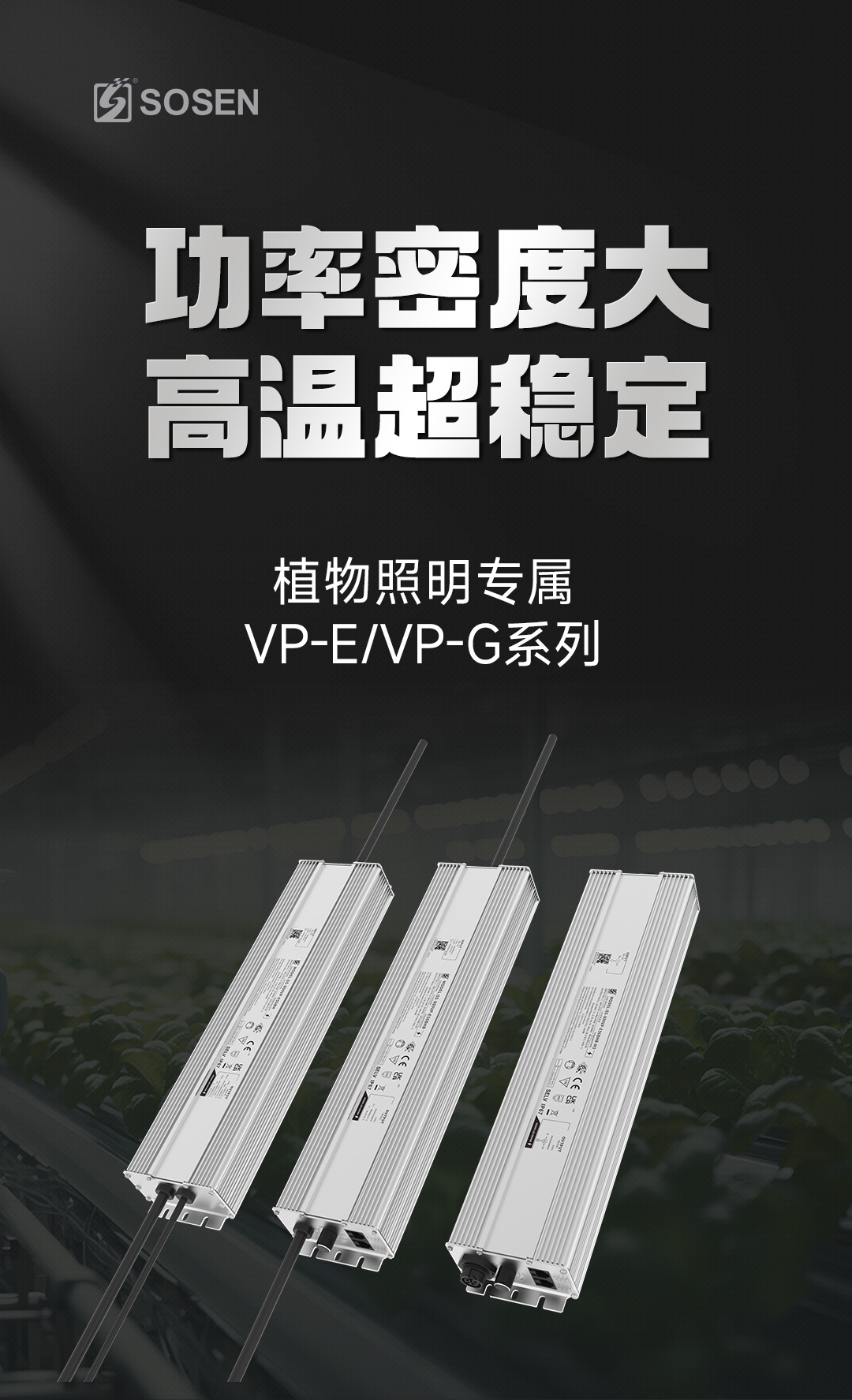 首页- 不朽情缘电子游戏官网