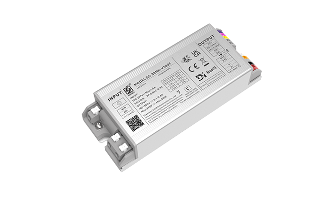 SS-80NH-V300F(D4i)