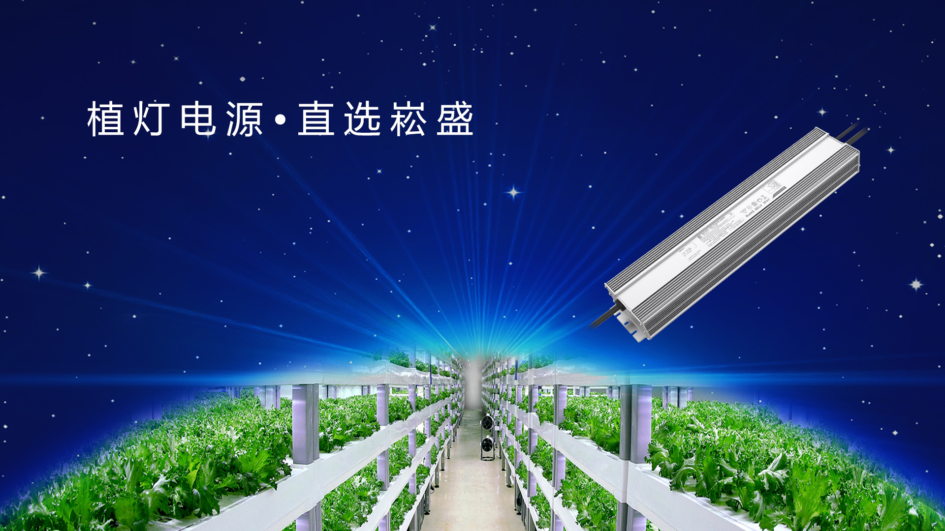 追光而行 ▏做植物照明驱动者，让将来农业开放无限可能