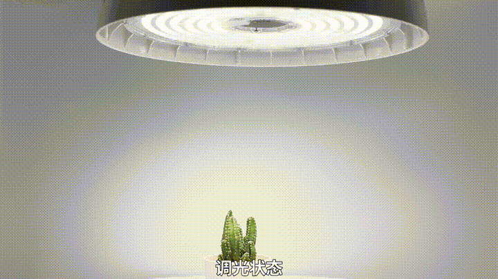 亮到暗2.gif 亮到暗2.gif