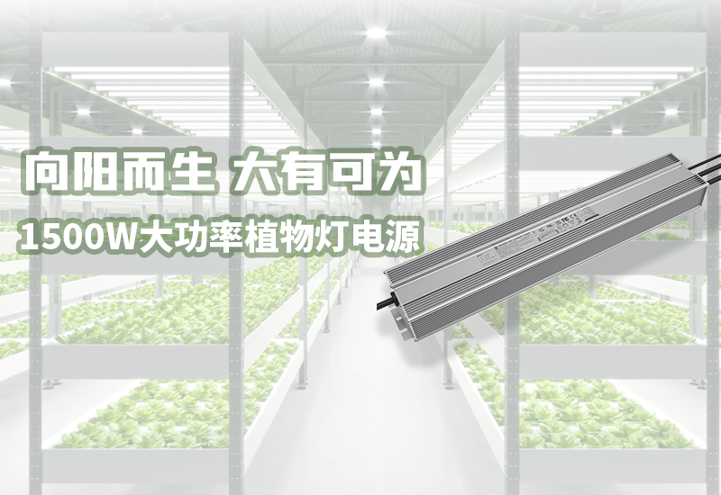 新品资讯 ▏1500W大功率植物灯电源颁布
